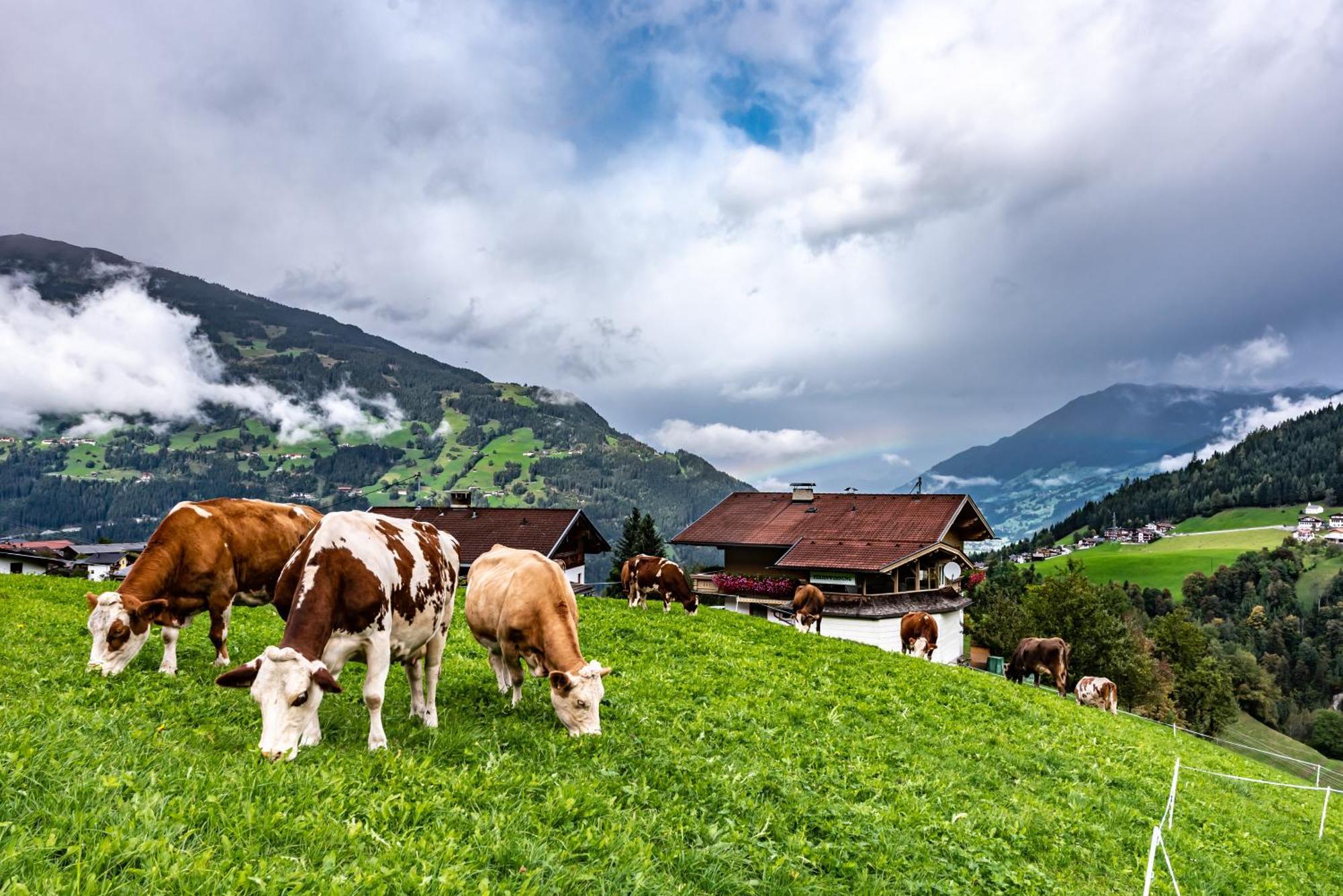 Ferienwohnung Ausblick Zillertal Hainzenberg Exterior foto